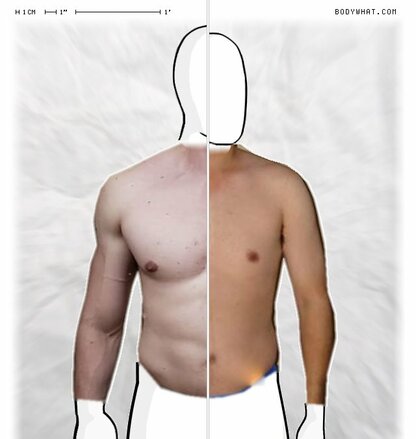 Torso Comparison