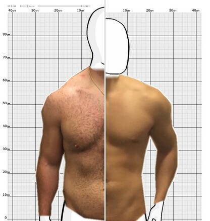 Torso Comparison