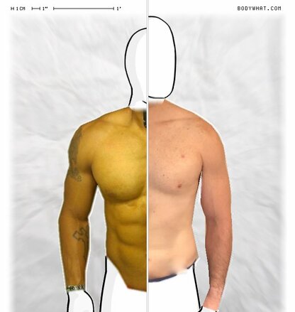 Torso Comparison