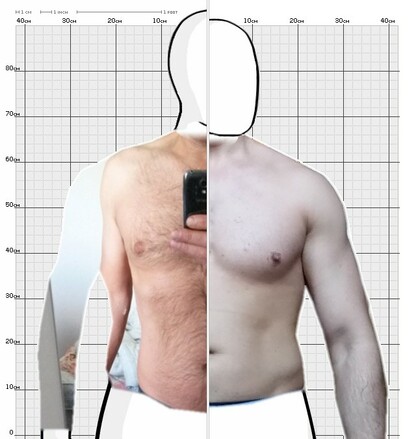 Torso Comparison