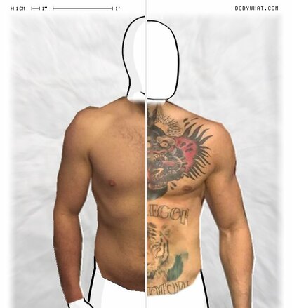 Torso Comparison