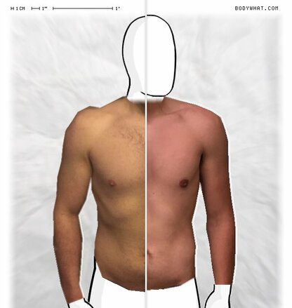 Torso Comparison