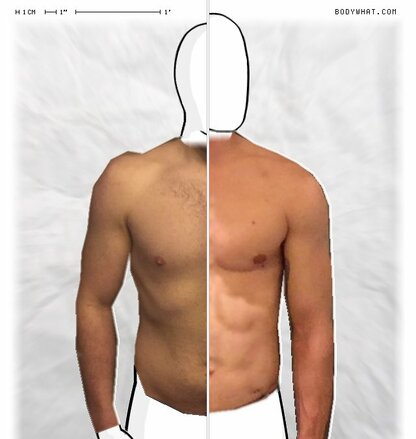 Torso Comparison