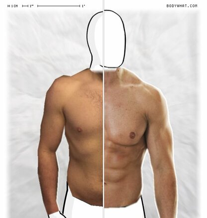 Torso Comparison