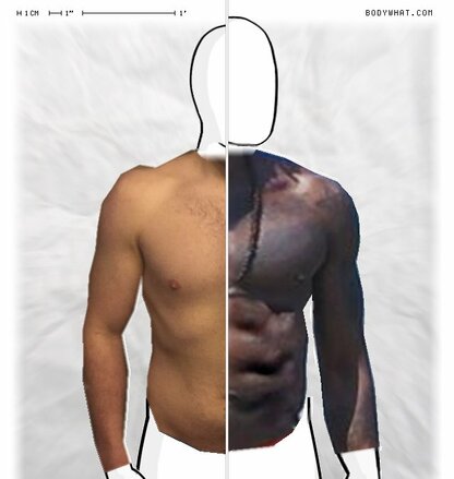 Torso Comparison