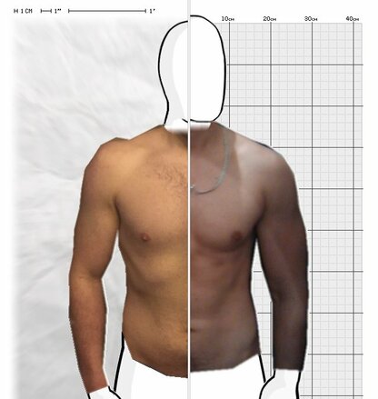 Torso Comparison