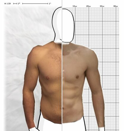 Torso Comparison