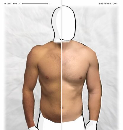 Torso Comparison