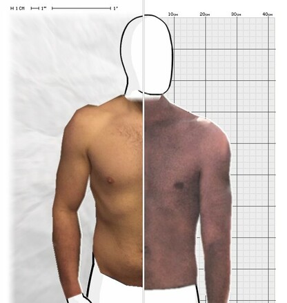 Torso Comparison