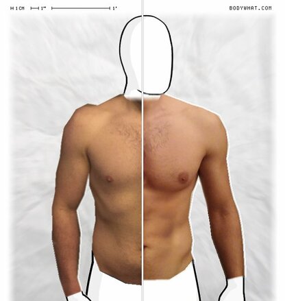 Torso Comparison