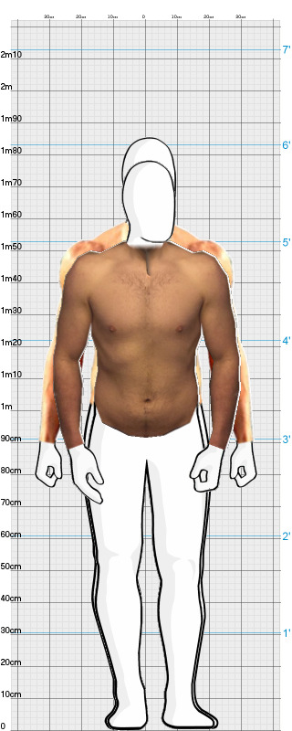 Full Size Comparison