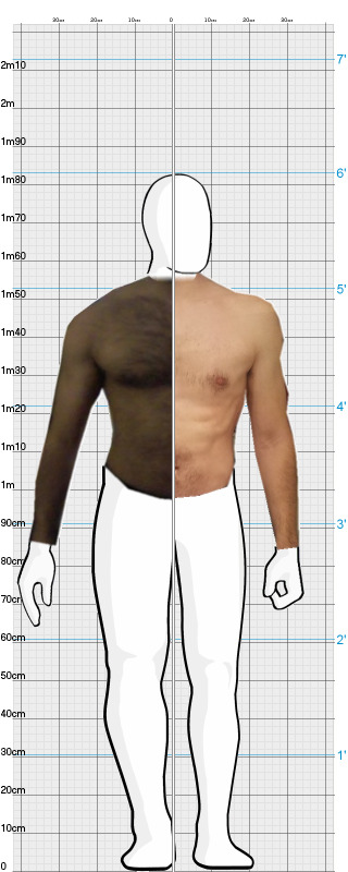 Full Size Comparison