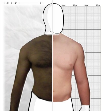 Torso Comparison