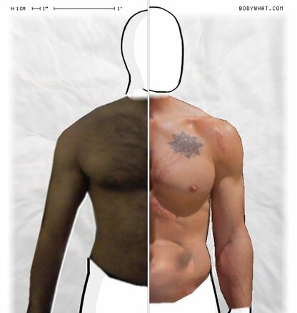 Torso Comparison