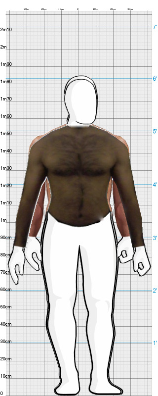 Full Size Comparison