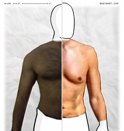 Torso Comparison