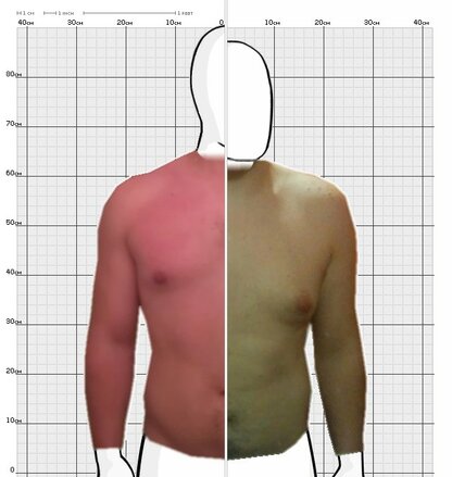 Torso Comparison