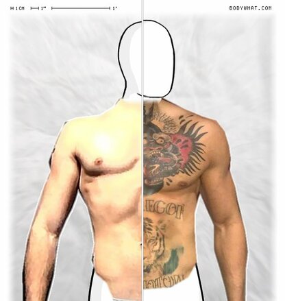 Torso Comparison