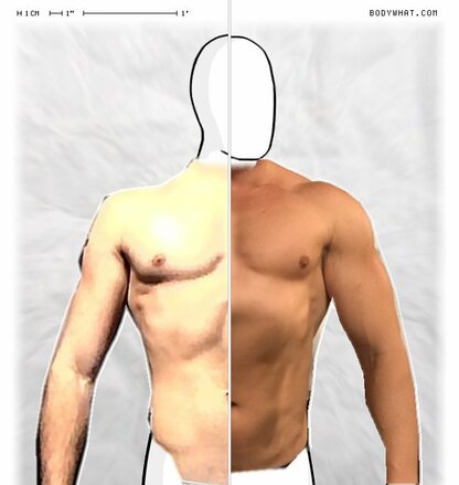 Torso Comparison