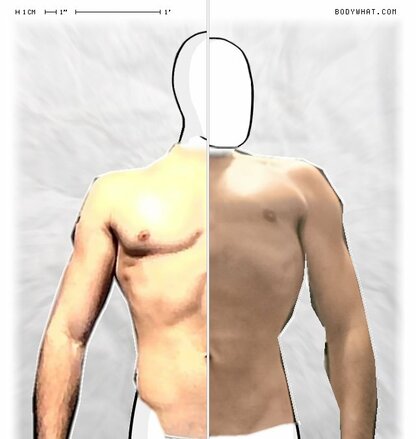 Torso Comparison