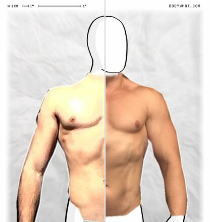 Torso Comparison