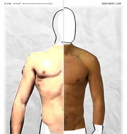Torso Comparison