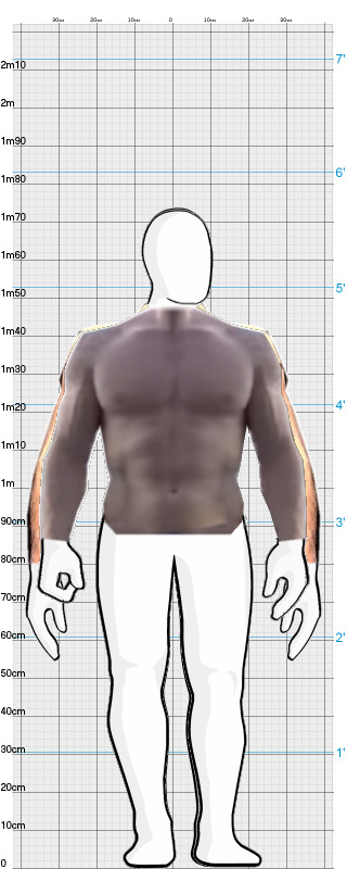 Full Size Comparison