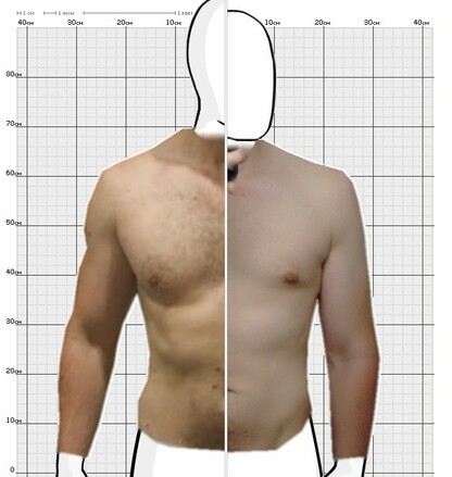 Torso Comparison