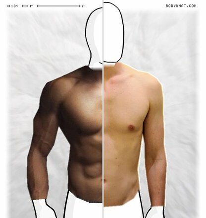 Torso Comparison