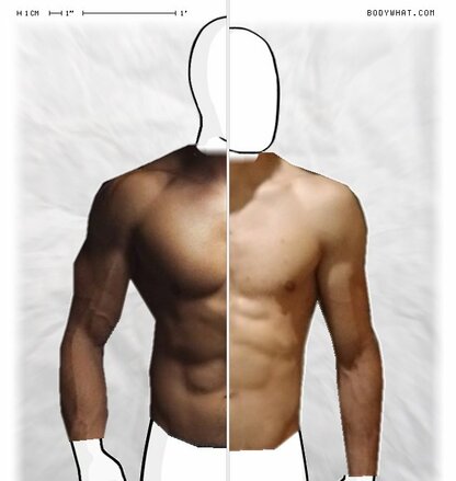 Torso Comparison