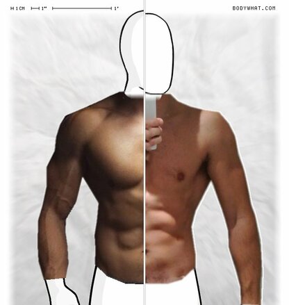 Torso Comparison