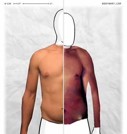 Torso Comparison