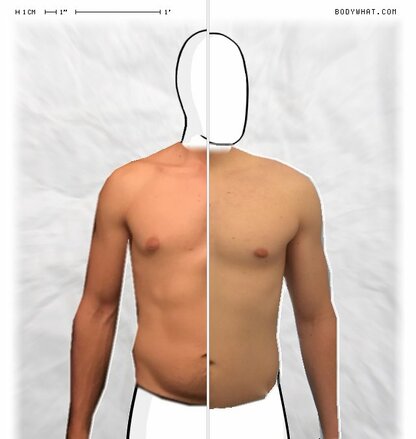 Torso Comparison