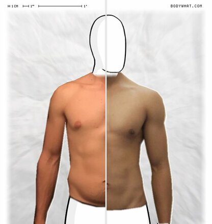 Torso Comparison