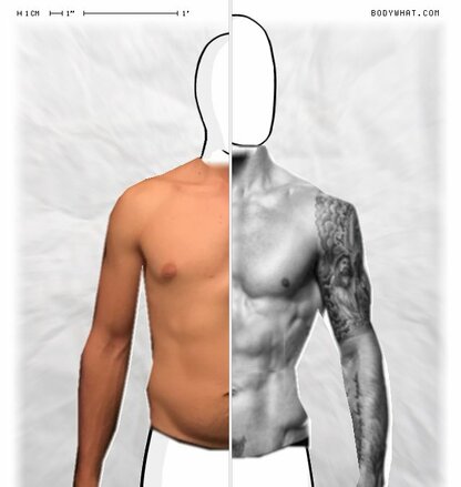 Torso Comparison