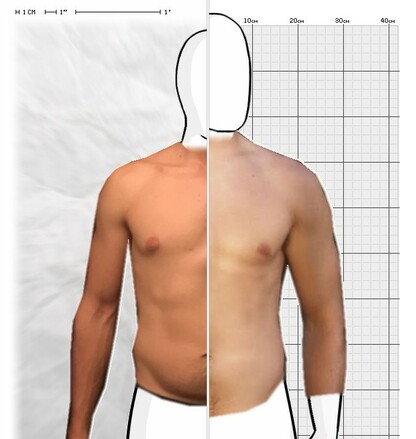 Torso Comparison