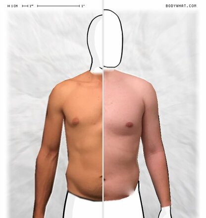 Torso Comparison