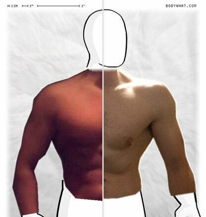 Torso Comparison