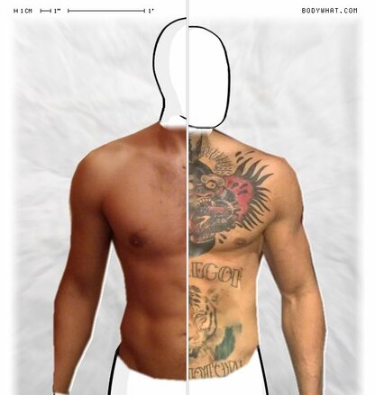 Torso Comparison