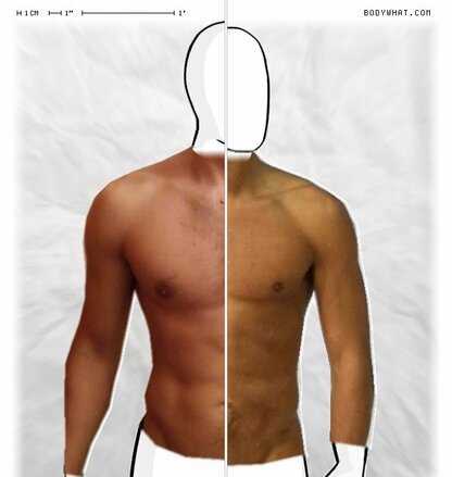 Torso Comparison