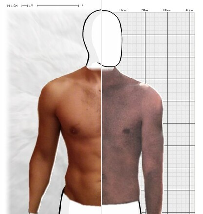 Torso Comparison