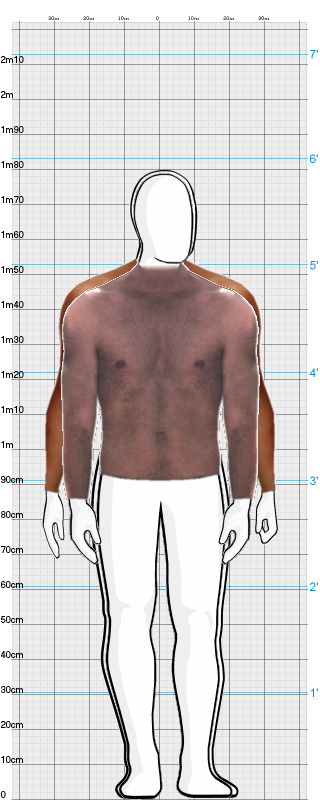 Full Size Comparison