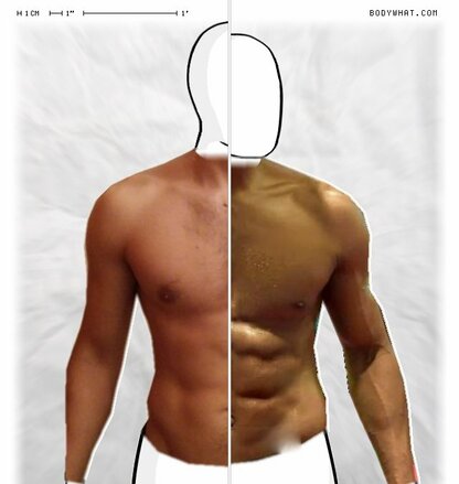 Torso Comparison