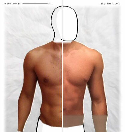 Torso Comparison