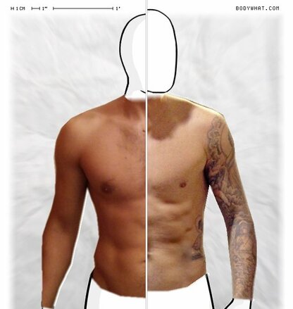 Torso Comparison