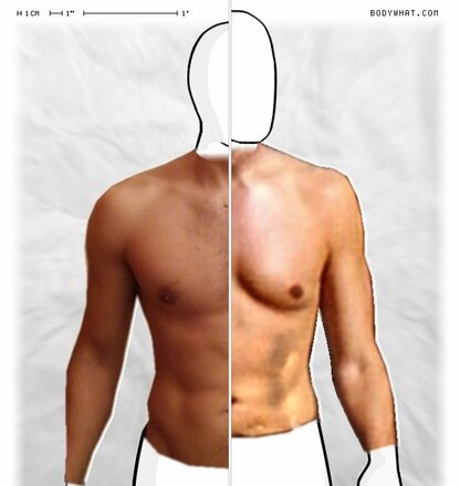 Torso Comparison