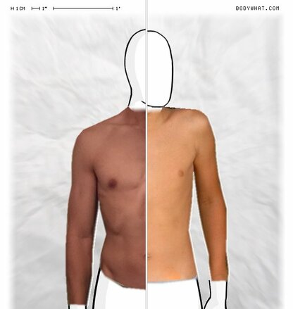 Torso Comparison