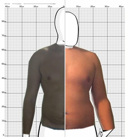 Torso Comparison