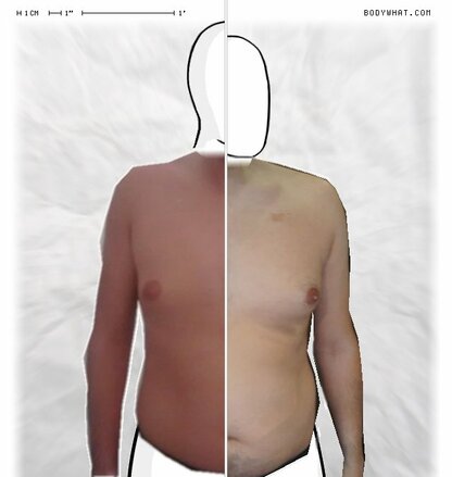 Torso Comparison