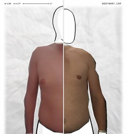 Torso Comparison